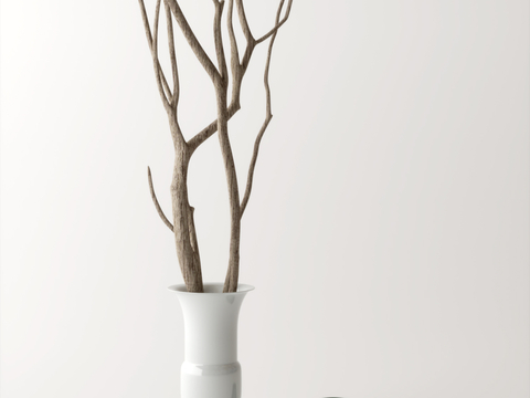 Modern dry branch ornaments