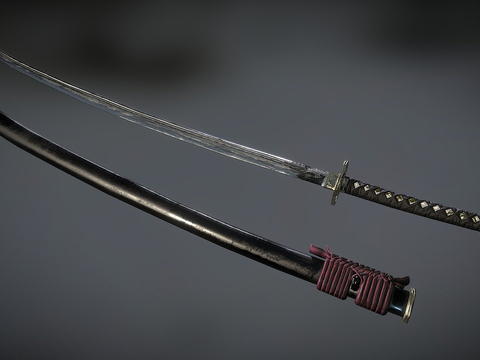 Samurai Dao Tang Dao