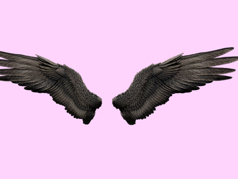 Dark Angel Wings