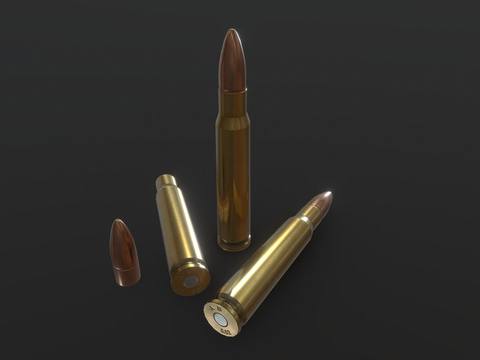 Ammunition 5.56X45mm