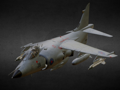 Sea Harrier Fighter