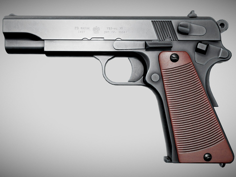 Poland Viswz. 35 Pistols Firearms