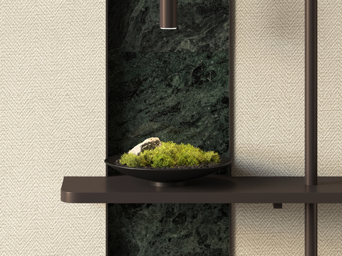 Moss Potted Plant Desktop Bonsai