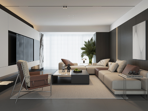 Modern Home Living Room