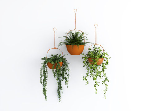 Modern flowerpot plant hanging basket green plant