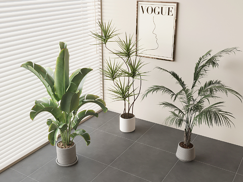 Modern Green Plant Floor Potted Plant