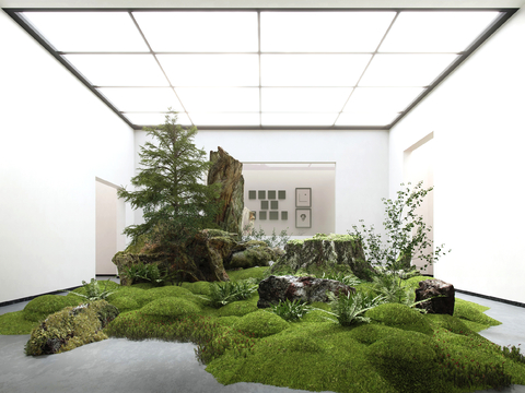 Modern interior landscaping dead wood moss sketch