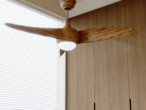 Quiet fan lamp ceiling fan lamp