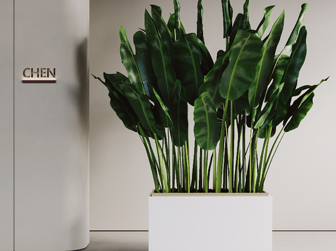 Modern Plant Flower Box