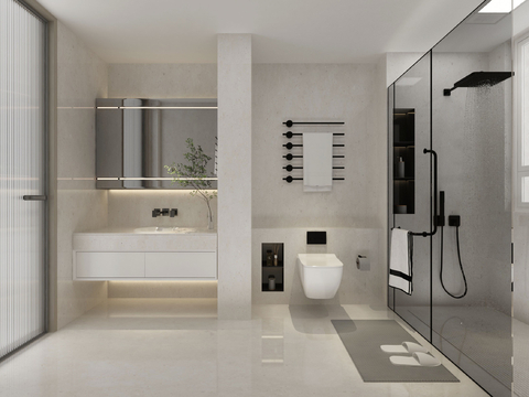 Modern Toilet Bathroom