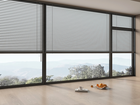 Floor-to-ceiling window blinds