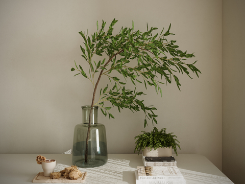 Books Afternoon Tea Water Plant