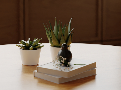 Modern Decorations Desktop Ornaments Potted Books Aloe