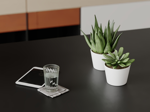 Modern Decorations Desktop Ornaments Cup Potted Aloe