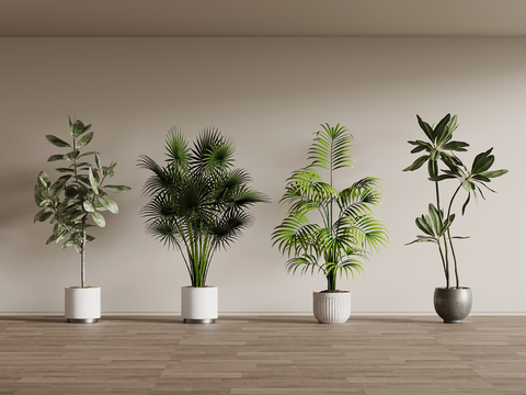 Modern floor-standing potted plant