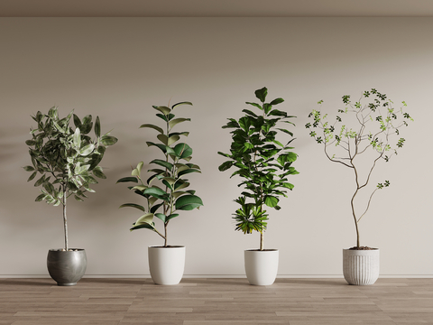 Modern floor-standing potted plant