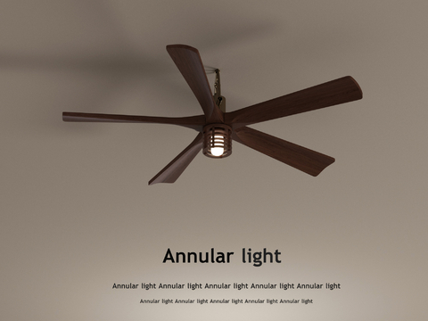 New Chinese fan lamp ceiling fan lamp