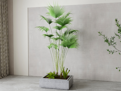 Modern Sanwei Kwai Green Plant Potted Plant