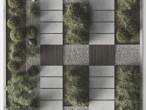 Modern landscape plant step step