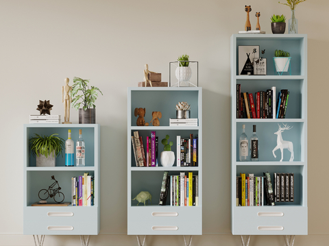 Modern Bookcase Locker