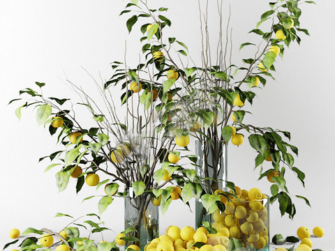 Modern vase green orange kumquat tree