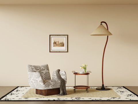 Mid-century Style leisure sofa single sofa floor lamp