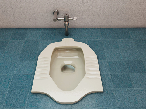 Squat toilet foot flush