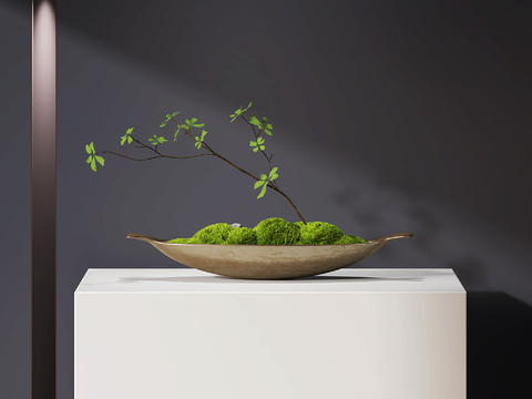 Moss Potted Desktop Bonsai