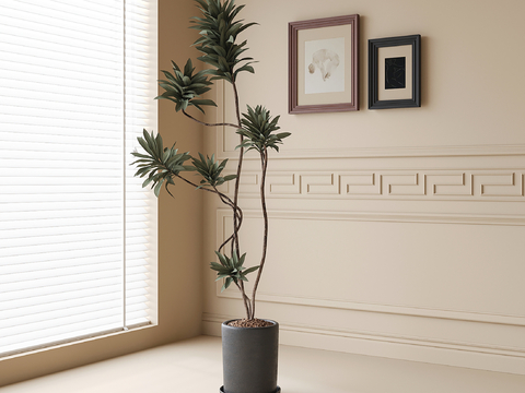 modern potted plant