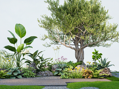 Modern Plants modeling tree