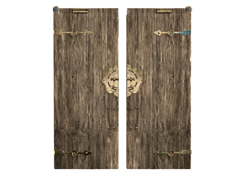 Neo-Chinese Style double door elm door