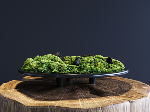 Modern moss bonsai