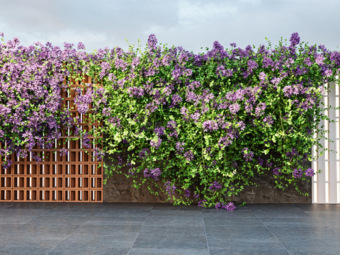 Green plant wall hedge