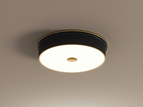 French retro ceiling lamp