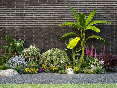 Plantain tree shrub ball plant pile