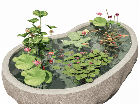 Lotus Pond Courtyard End View Flower Pot Flower Bowl