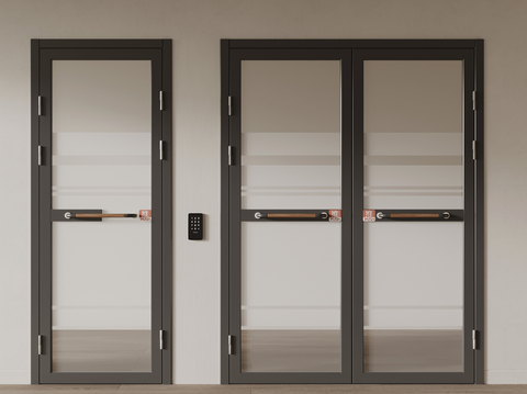 Glass double door single door shop door