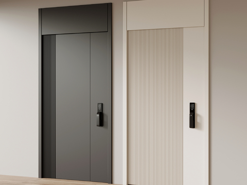 Modern security door entry door