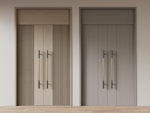 Modern Double Doors