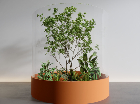 indoor landscape plant landscaping