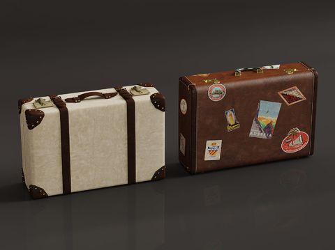 Modern Luggage Case Luggage Case