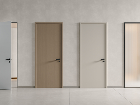 Modern Minimalist Single Door Flat Door