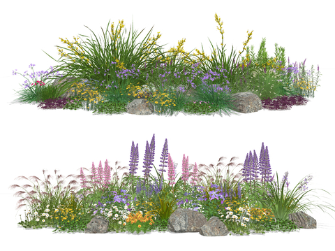 Plant Landscape Flower Border Plants