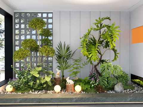 Indoor Landscape Plants