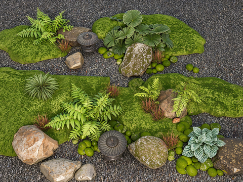 Courtyard sketch micro-terrain landscape stone