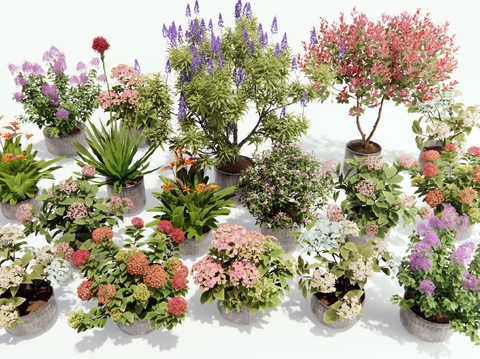 Modern Flowers Potted Plants Flower Border