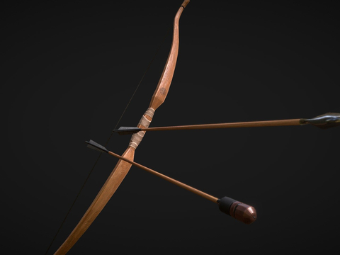 long bow and arrow