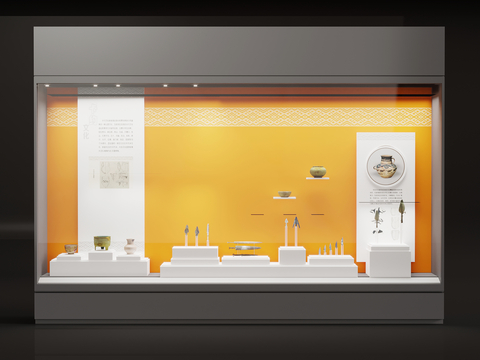 Modern Museum Display Cabinet