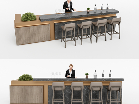 Modern Water Bar Counter Bar Chair