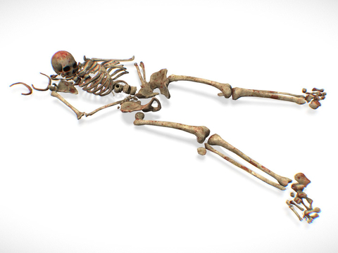 Skeletal remains of skeletons lying dead